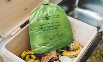 Why Should You Switch from Plastic to Compostable Garbage Bags?
