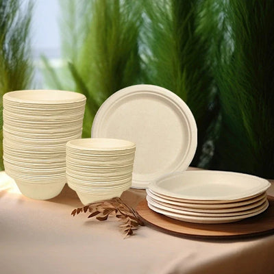 The Benefits of Using Sugarcane Bagasse Plates & Bowls Everyday