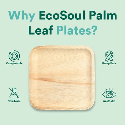 Palm Leaf Plates: Revolutionizing the Eco-Friendly World