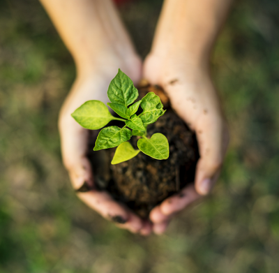 Let's Talk Trash: Your Complete Guide to Composting At Home