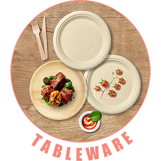 Sustainable disposable plates and cutlery on a wooden table, served with grilled food and fresh vegetables.