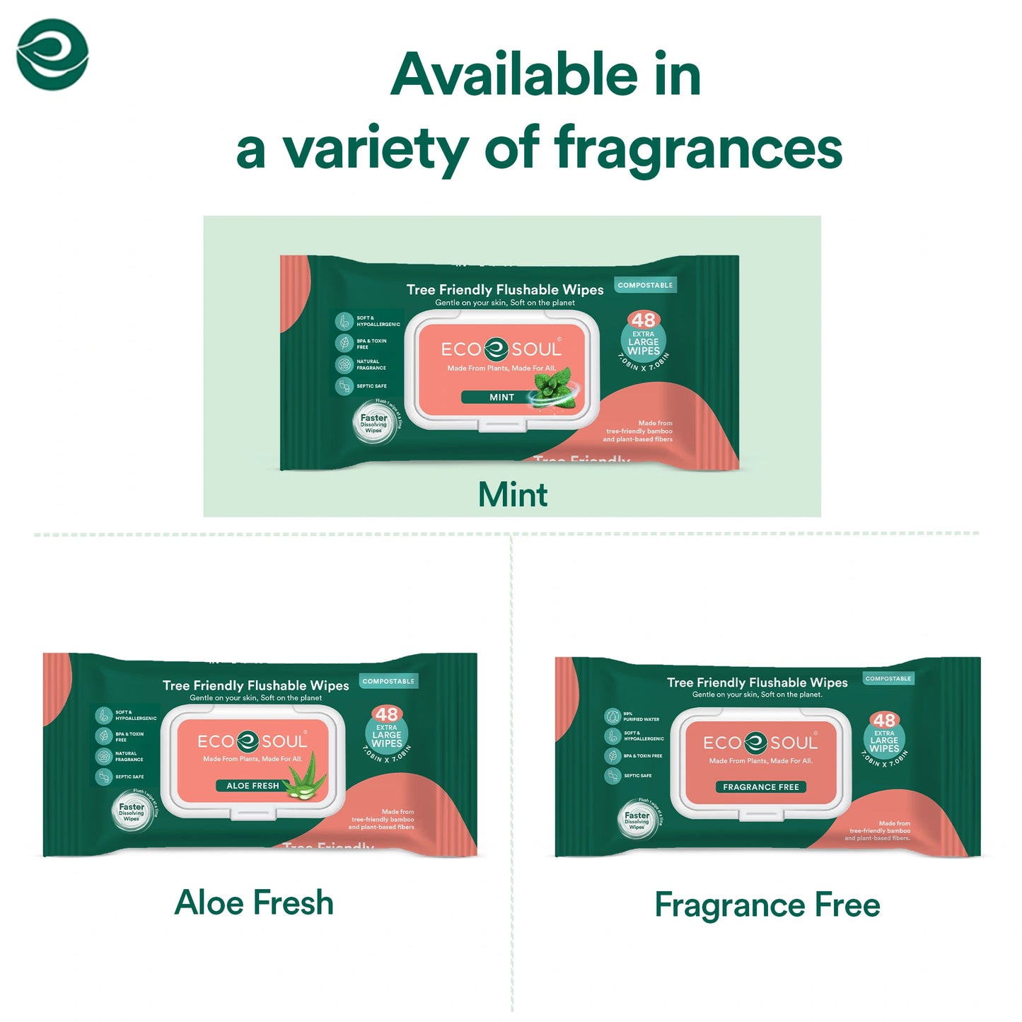 Compostable Flushable Wipes Extra-Large Adult Wipes-Mint - Pack of 2, 48 Count