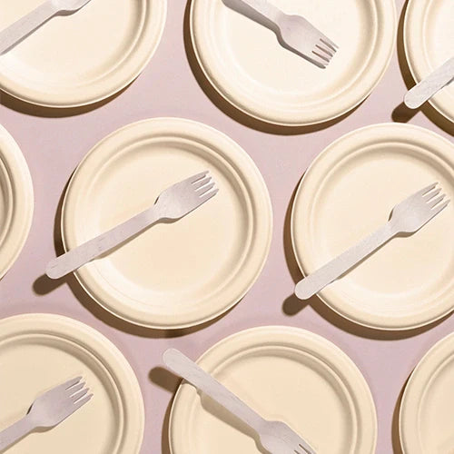 Compostable Plates: Everything You Need to Know Before Switching ...