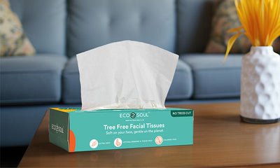 Environmental Benefits of Switching to Tree-Free Facial Tissue Paper
