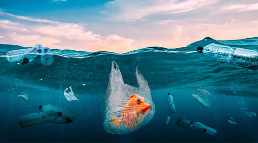 Why World Oceans Day Reminds Us to Ditch Single-Use Plastic