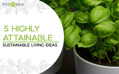 5 Highly-Attainable Sustainable Living Ideas