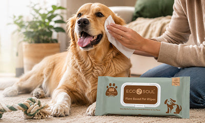 Are Pet Wipes Safe? Everything Pet Parents Need to Know Before Using Them