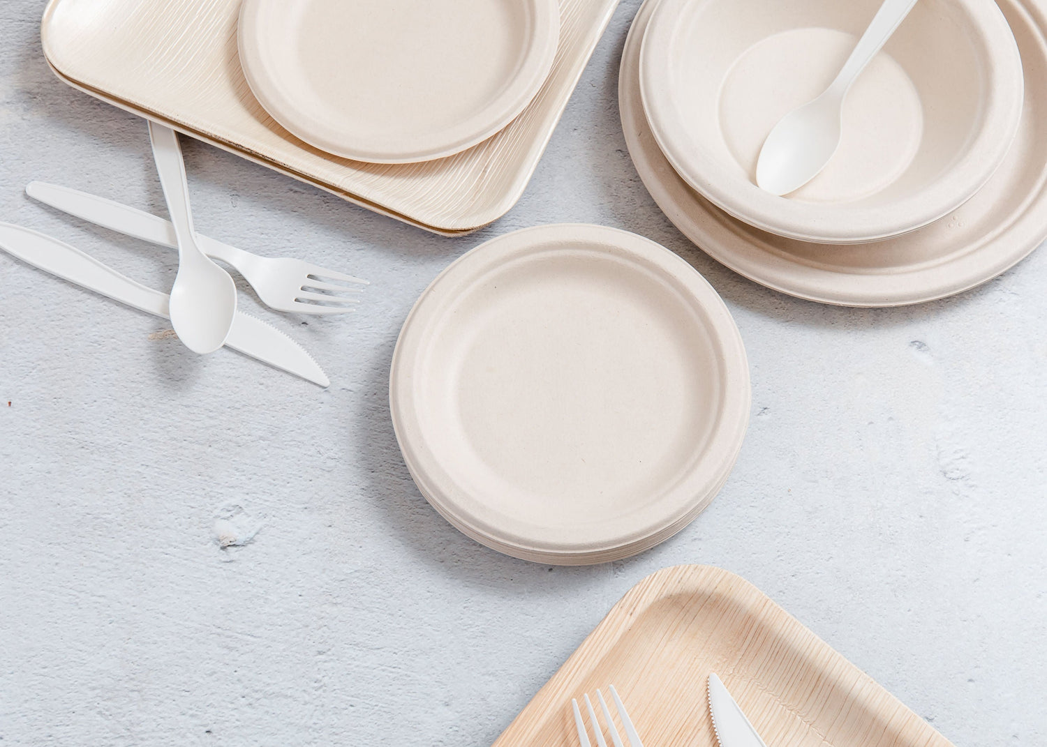 Eco-Friendly Party Tableware