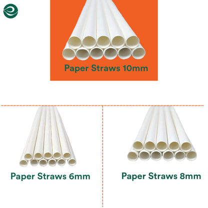 Disposable Paper Straws- Pack of 100