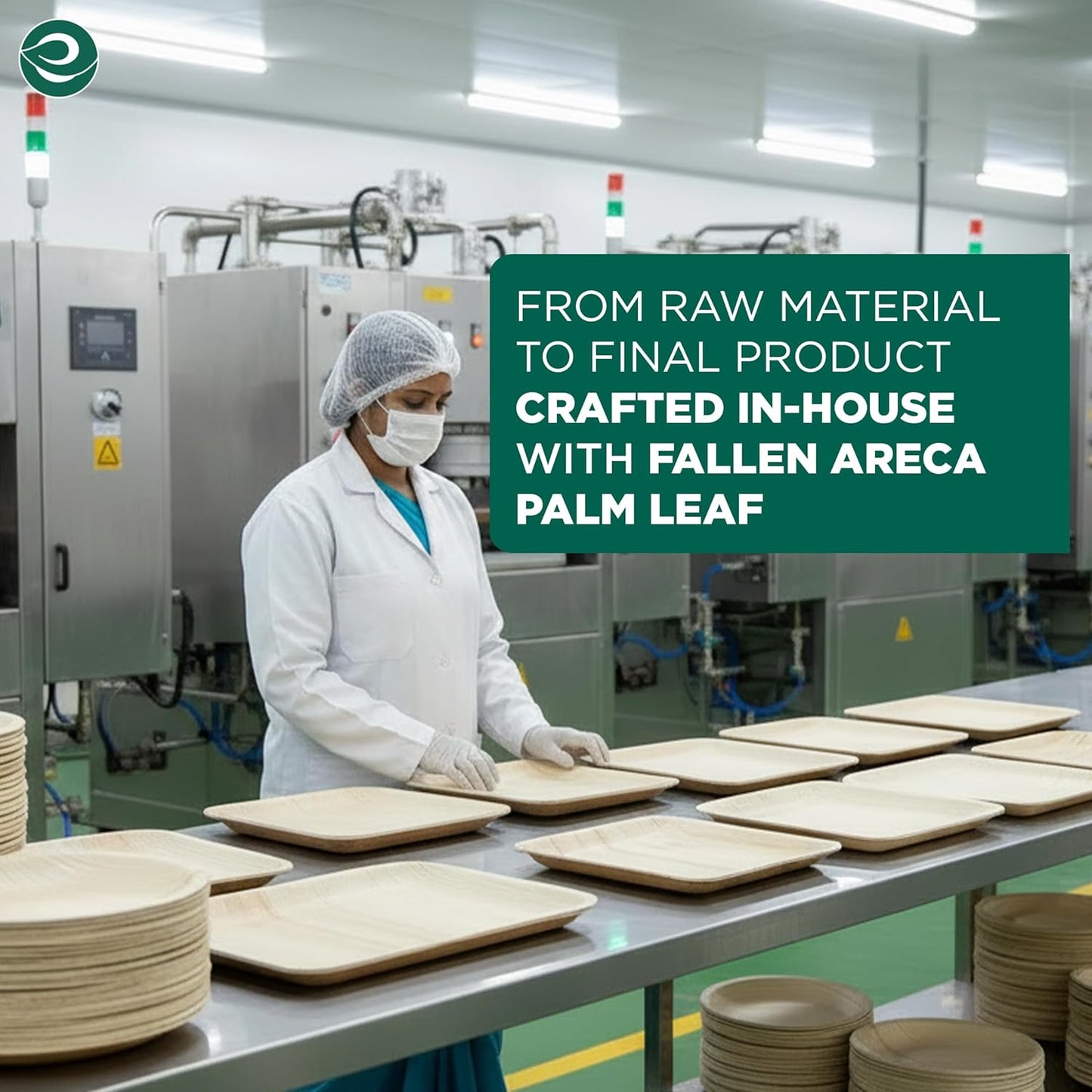 Palm Leaf Dinner Sets, Square,  Pack of 60, For 12 peoples