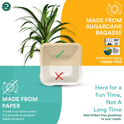 4 inch Square Bagasse Bowl better than plastic Bowl