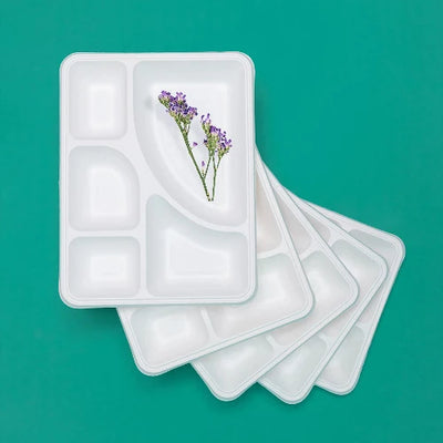 5cp Disposable Bagasse Meal Tray