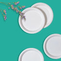 6 Inch Round Disposable Bagasse Plates
