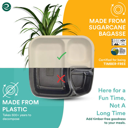 Bagasse Compostable Plate Better than Plastic Plate