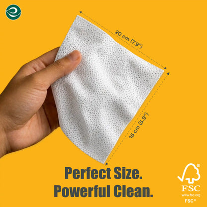 Scrub & Shine Shoe Cleaning Wipes for All Shoes | Pack of 2