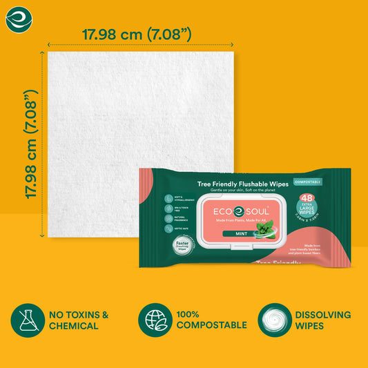 Compostable Flushable Wipes Extra-Large Adult Wipes-Mint - Pack of 2, 48 Count