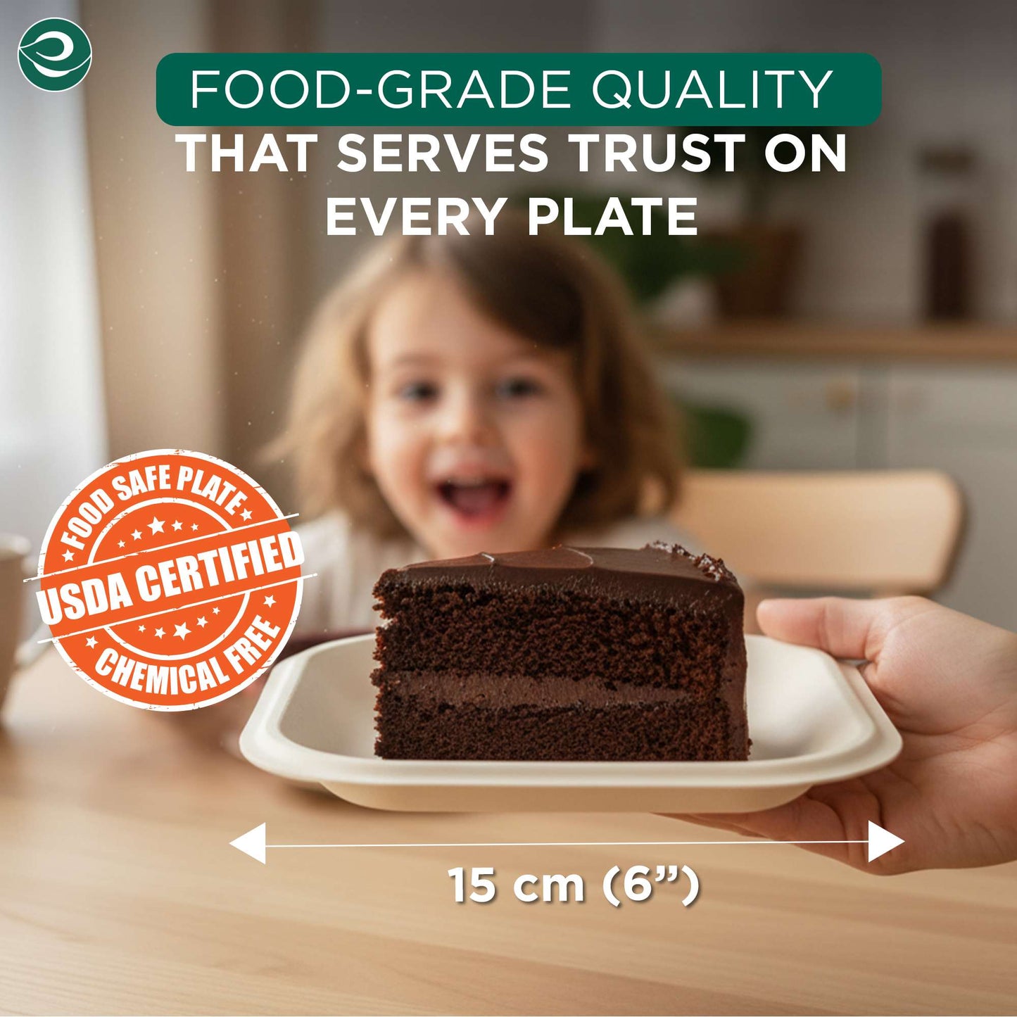 6 Inch Square Disposable Bagasse Plates