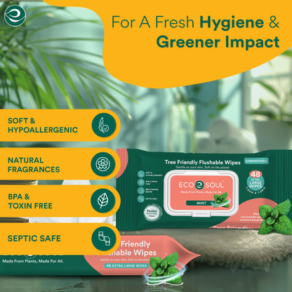Compostable Flushable Wipes Extra-Large Adult Wipes-Mint - Pack of 2, 48 Count