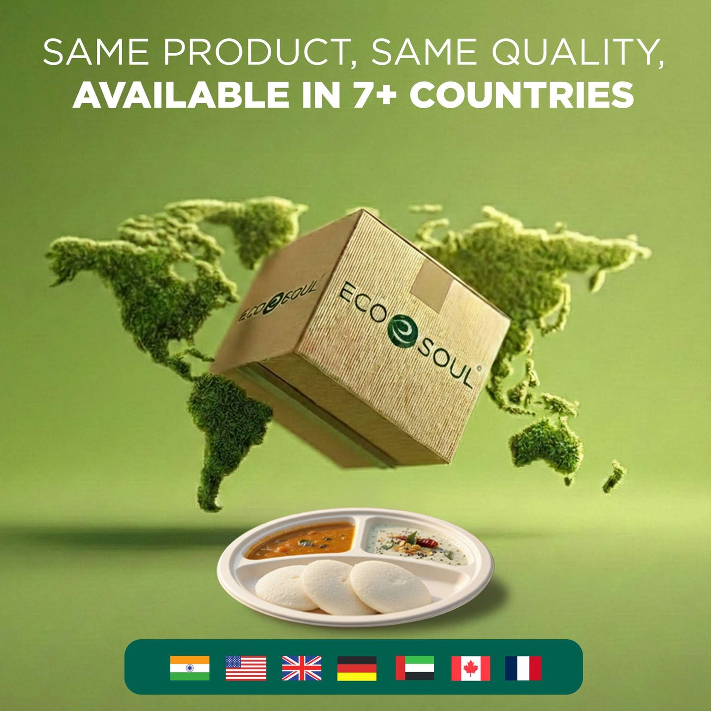 10 Inch Round 3 Compartment Disposable Bagasse Plates