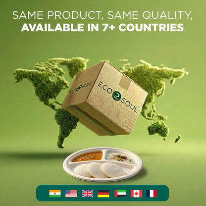 10 Inch Round 3 Compartment Disposable Bagasse Plates