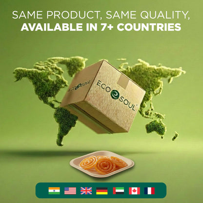 6 Inch Square Disposable Bagasse Plates