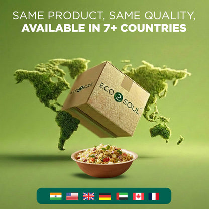 475ml Round Areca Palm Leaf Disposable Bowls