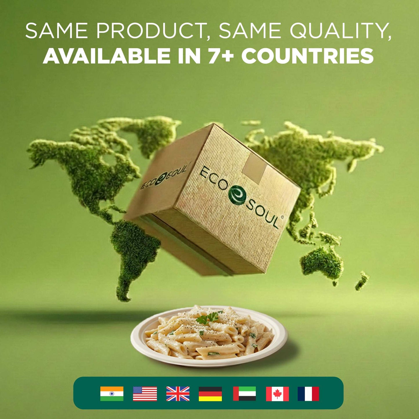 9 Inch Round Disposable Bagasse Plates