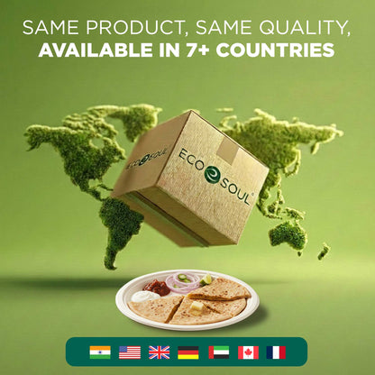 12 inch Round Disposable Bagasse Plates