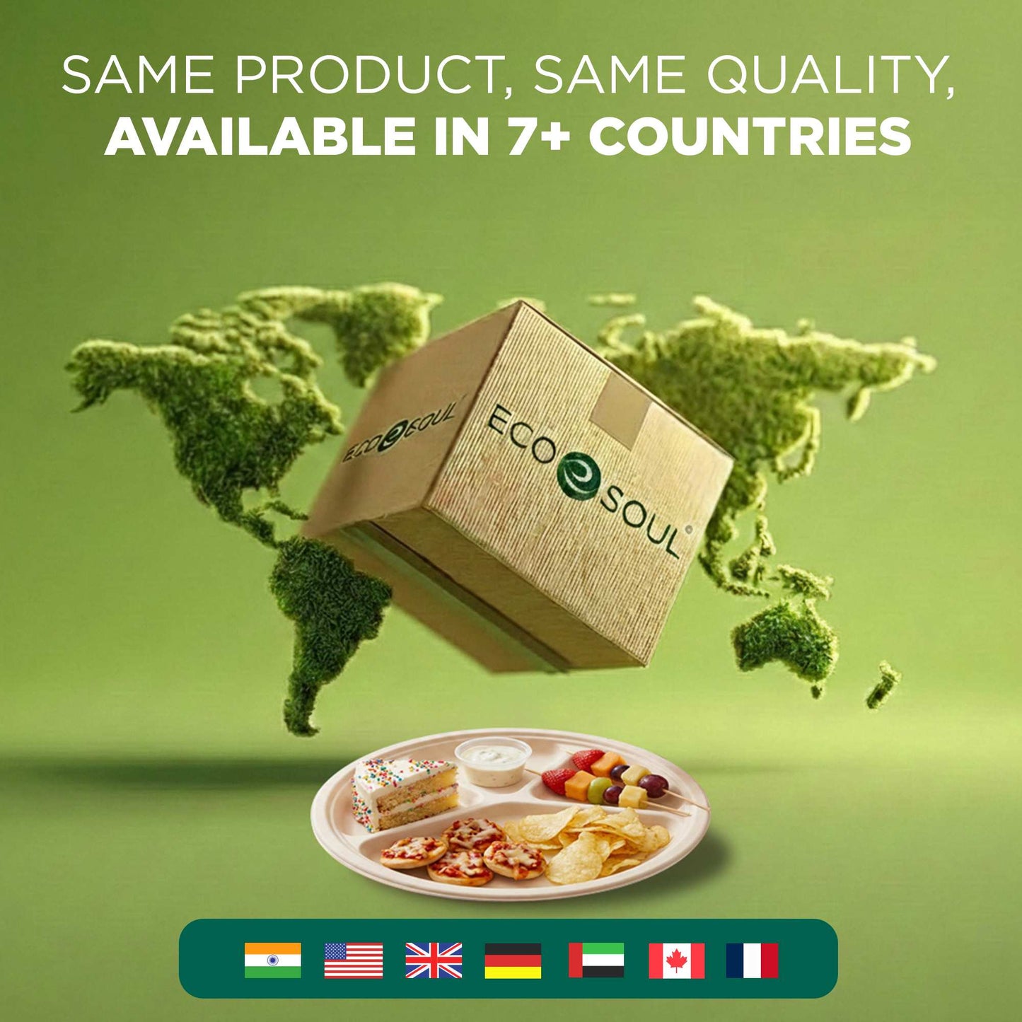 11 Inch Round 4 Compartment Disposable Bagasse Plates