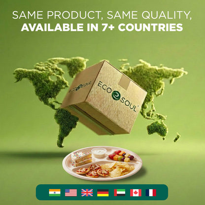 11 Inch Round 4 Compartment Disposable Bagasse Plates