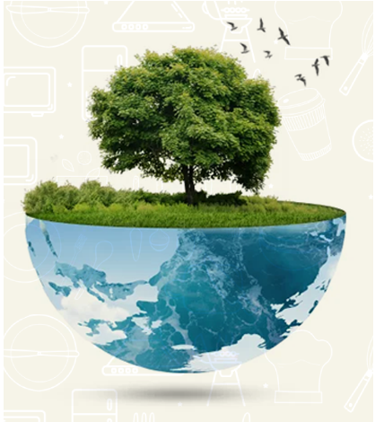 EcoSoul impact graphic – showcasing carbon footprint reduction and composting stats