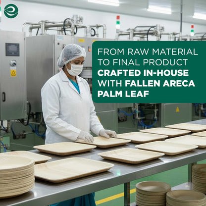 6 Inch Square Disposable Areca Palm Leaf Plates