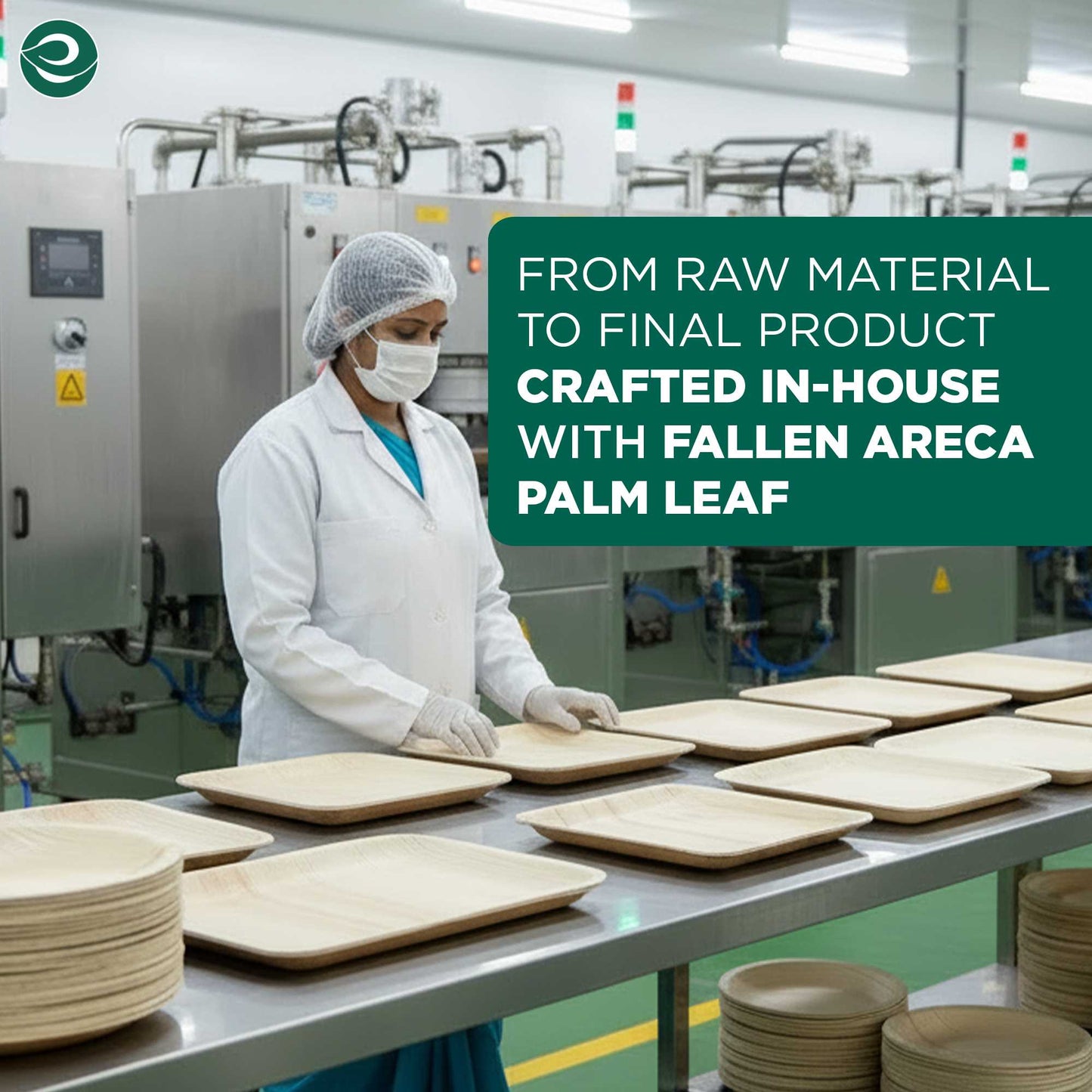 8 Inch Round Disposable Areca Palm Leaf Plates