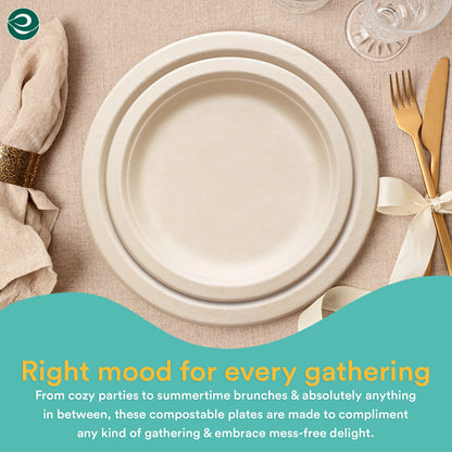 Eco-friendly Compostable Plates made from bagasse