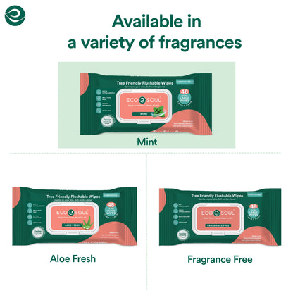 Compostable Flushable Wipes Extra-Large Adult Wipes-Mint - Pack of 2, 48 Count