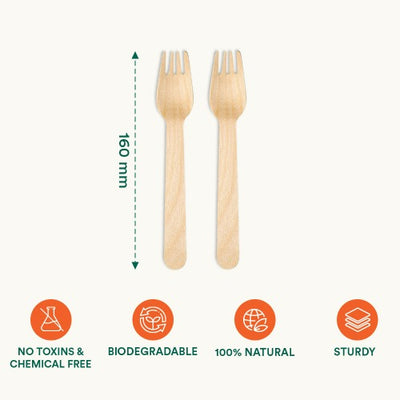 Birchwood Disposable Forks