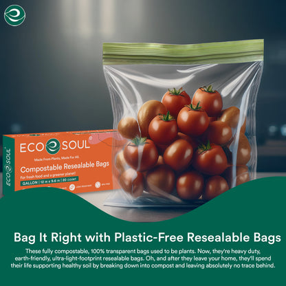 Zip Locks ( Set of 3 )