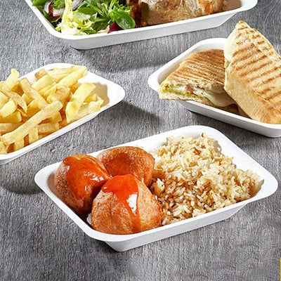 Large Bagasse Disposable Meal Trays