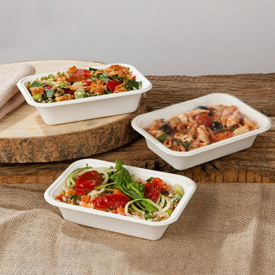 Large Bagasse Disposable Meal Trays